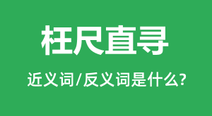 ����ֱѰ�Ľ���ʺͷ������ʲô_����ֱѰ��ʲô��˼?