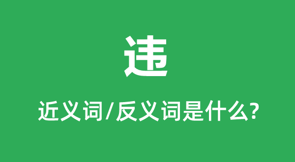 Υ�Ľ���ʺͷ������ʲô,Υ��ʲô��˼