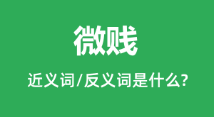 ΢���Ľ���ʺͷ������ʲô_΢����ʲô��˼?