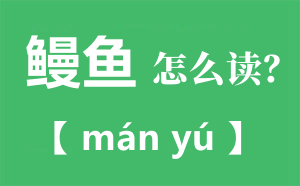 ����Ķ���_������ô��ƴ����ʲô_�������Ϊʲô����������?