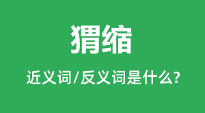 ����Ľ���ʺͷ������ʲô_�����ʲô��˼?