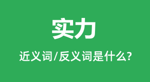 ʵ���Ľ���ʺͷ������ʲô_ʵ����ʲô��˼?