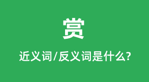 �͵Ľ���ʺͷ������ʲô_����ʲô��˼?