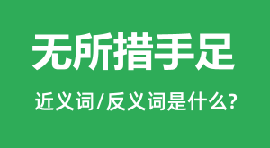 ����������Ľ���ʺͷ������ʲô_������������ʲô��˼?