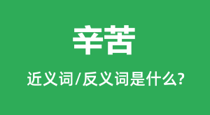 ����Ľ���ʺͷ������ʲô_������ʲô��˼?