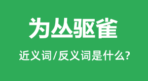 Ϊ����ȸ�Ľ���ʺͷ������ʲô_Ϊ����ȸ��ʲô��˼��