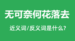 �޿��κλ���ȥ�Ľ���ʺͷ������ʲô_�޿��κλ���ȥ��ʲô��˼?