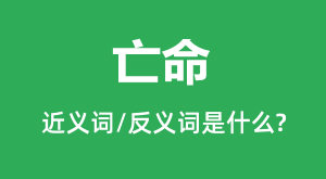 �����Ľ���ʺͷ������ʲô_������ʲô��˼?