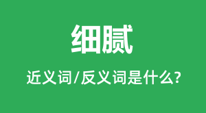 ϸ��Ľ���ʺͷ������ʲô_ϸ����ʲô��˼?