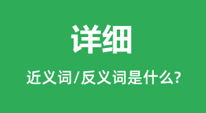 ��ϸ�Ľ���ʺͷ������ʲô_��ϸ��ʲô��˼?