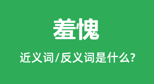 �����Ľ���ʺͷ������ʲô_������ʲô��˼?