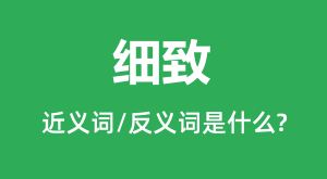 ϸ�µĽ���ʺͷ������ʲô_ϸ����ʲô��˼?