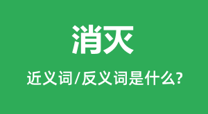 ����Ľ���ʺͷ������ʲô_������ʲô��˼?