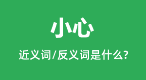 С�ĵĽ���ʺͷ������ʲô_С����ʲô��˼?