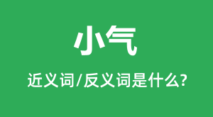 С���Ľ���ʺͷ������ʲô_С����ʲô��˼?