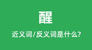 �ѵĽ���ʺͷ������ʲô_����ʲô��˼?