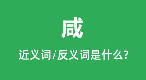 �̵Ľ���ʺͷ������ʲô_����ʲô��˼��