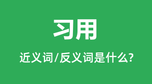 ϰ�õĽ���ʺͷ������ʲô_ϰ����ʲô��˼��
