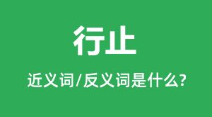 ��ֹ�Ľ���ʺͷ������ʲô_��ֹ��ʲô��˼?