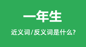 һ�����Ľ���ʺͷ������ʲô_һ������ʲô��˼?
