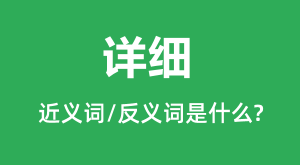 ��ϸ�Ľ������ʲô_�������ʲô_��ϸ��ʲô��˼��
