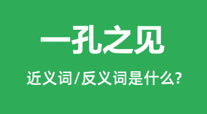 һ��֮���Ľ���ʺͷ������ʲô_һ��֮����ʲô��˼?