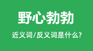 Ұ�Ĳ����Ľ���ʺͷ������ʲô_Ұ�Ĳ�����ʲô��˼��