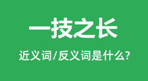 һ��֮���Ľ���ʺͷ������ʲô_һ��֮����ʲô��˼?