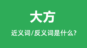 �󷽵Ľ���ʺͷ������ʲô_����ʲô��˼