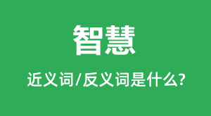 �ǻ۵Ľ���ʺͷ������ʲô_�ǻ���ʲô��˼?