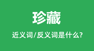 ��صĽ���ʺͷ������ʲô_�����ʲô��˼?