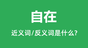 ���ڵĽ���ʺͷ������ʲô_������ʲô��˼?