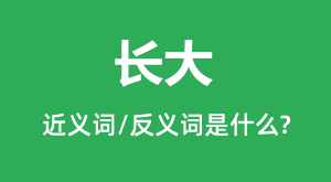 ����Ľ���ʺͷ������ʲô_������ʲô��˼?