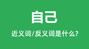 �Լ��Ľ���ʺͷ������ʲô_�Լ���ʲô��˼?