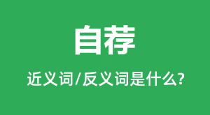 �Լ��Ľ���ʺͷ������ʲô_�Լ���ʲô��˼?