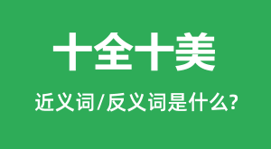 ʮȫʮ���Ľ���ʺͷ������ʲô_ʮȫʮ����ʲô��˼?