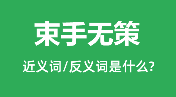 �����޲ߵĽ���ʺͷ������ʲô,�����޲���ʲô��˼