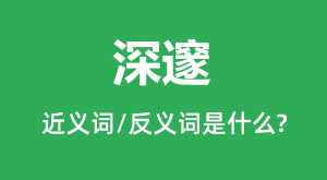 ����Ľ���ʺͷ������ʲô_������ʲô��˼��