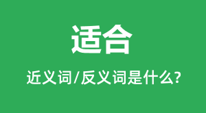 �ʺϵĽ���ʺͷ������ʲô_�ʺ���ʲô��˼?