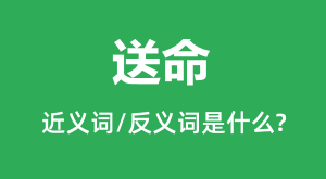 �����Ľ���ʺͷ������ʲô_������ʲô��˼?