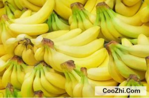 �㽶������θ����