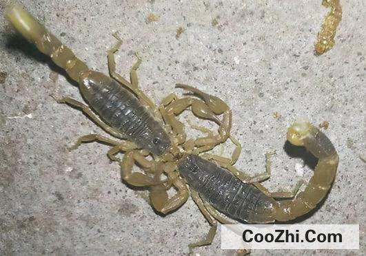 Ы�ӿ��Գ���