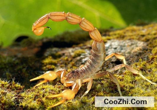 Ы�ӿ��Գ���