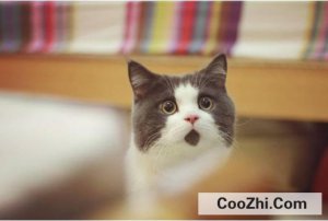 ��èץ��Ƥ��ô��