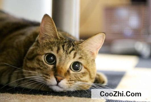 ��èץ��Ƥ��ô��