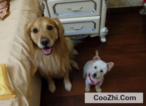 Ů��������Ȯ������