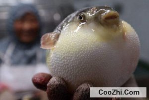 �Ժ���᲻���ж�