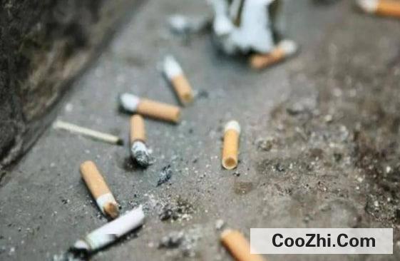 �������Ʊ�¶����С����