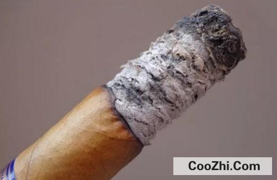 �������Ʊ�¶����С����