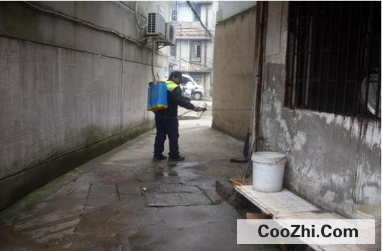 �����ڰְ�Ӧ����ʲô